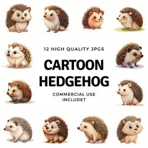 cartoon Hedgehog clipart - 12 High Quality JPGs - instant Download - Card Making, invitations, journals, Scrapbooking, Junk journals