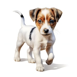 Jack Russell Terrier clipart - 12 JPG de alta calidad - descarga instantánea - Fabricación de tarjetas, invitaciones, diarios, Scrapbooking, diarios basura