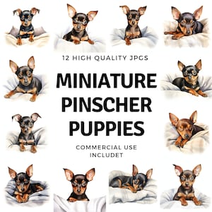 Zwergpinscher Welpen Clipart - 12 hochwertige JPGs - sofortiger Download - Card Making, Einladungen, Journals, Scrapbooking, Junk journals