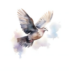 Mourning Dove clipart - 12 JPG de haute qualité - Téléchargement instantané - Fabrication de cartes, invitations, journaux, Scrapbooking, Junk journaux