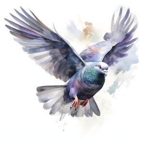 Rock Pigeon clipart - 12 hoge kwaliteit JPG's - instant Download - Card Making, uitnodigingen, tijdschriften, Scrapbooking, Junk journals