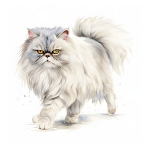 Clipart de chat persan - 12 JPG de haute qualité - Téléchargement instantané - Fabrication de cartes, invitations, journaux, Scrapbooking, Journaux indésirables