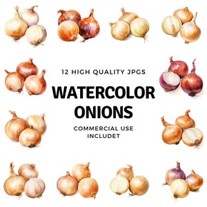 May include: Twelve watercolour illustrations of onions in various colours and shapes. The onions are painted in a realistic style and have a variety of textures. The illustrations are perfect for use in culinary or gardening projects.