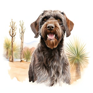 Wirehaired Pointing Griffon clipart - 12 Quality JPGs - instant Download - Card Making, uitnodigingen, tijdschriften, Scrapbooking, Junk journals
