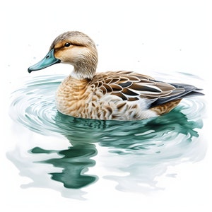 Happy Duck clipart - 12 High Quality JPGs - instant Download - Card Making, invitations, journals, Scrapbooking, Junk journals