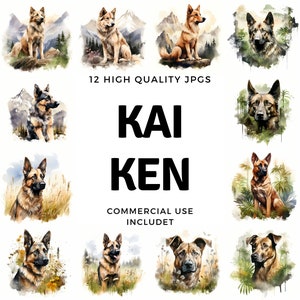 Kai Ken clipart - 12 High Quality JPGs - instant Download - Card Making, invitations, journals, Scrapbooking, Junk journals