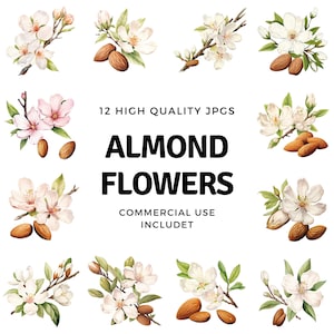 almond flowers clipart - 12 High Quality JPGs - instant Download - Card Making, invitations, journals, Scrapbooking, Junk journals