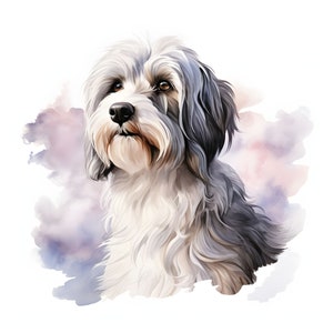 Tibetan Terrier clipart - 12 High Quality JPGs - instant Download - Card Making, invitations, journals, Scrapbooking, Junk journals