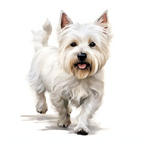 West Highland White Terrier Clipart - 12 hochwertige JPGs - sofortiger Download - Card Making, Einladungen, Journals, Scrapbooking, Junk journals