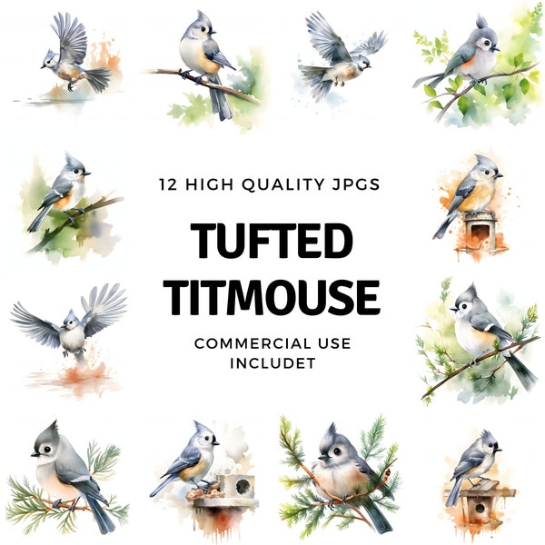 Tufted Titmouse clipart - 12 High Quality JPGs - instant Download - Card Making, invitations, journals, Scrapbooking, Junk journals