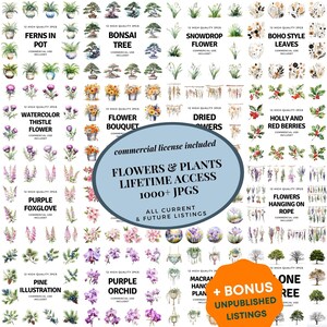 花と植物のバンドル、無制限の生涯ショップアクセス、メガ水彩クリップアートバンドル、すべての現在のデザインと将来のデザイン、商用利用