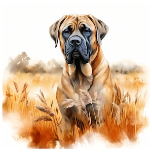 Spanish Mastiff clipart - 12 High Quality JPGs - instant Download - Card Making, invitations, journals, Scrapbooking, Junk journals