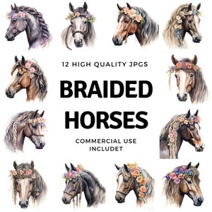 Cheval avec cheveux tressés clipart - 12 JPG de haute qualité - Téléchargement instantané - Fabrication de cartes, invitations, journaux, Scrapbooking, Junk journaux