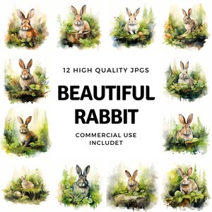Beautiful Rabbit clipart - 12 High Quality JPGs - instant Download - Card Making, invitations, journals, Scrapbooking, Junk journals