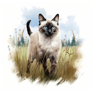 Snowshoe Cat clipart - 12 High Quality JPGs - instant Download - Card Making, invitations, journals, Scrapbooking, Junk journals