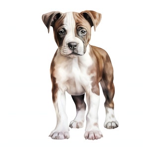 American Staffordshire Terrier clipart - 12 kwaliteit JPG's - instant Download - Card Making, uitnodigingen, tijdschriften, Scrapbooking, Junk journal