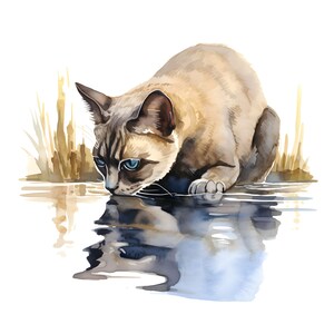 Clipart de chat birman : Portraits aquarelles hyper-réalistes exquis d'un félin gracieux et majestueux dans diverses poses engageantes