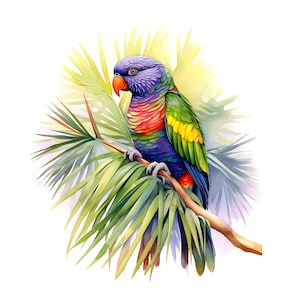 Rainbow Lorikeet clipart - 12 High Quality JPGs - instant Download - Card Making, invitations, journals, Scrapbooking, Junk journals