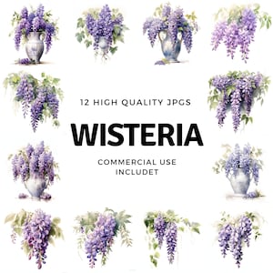 Wisteria clipart - 12 High Quality JPGs - instant Download - Card Making, invitations, journals, Scrapbooking, Junk journals