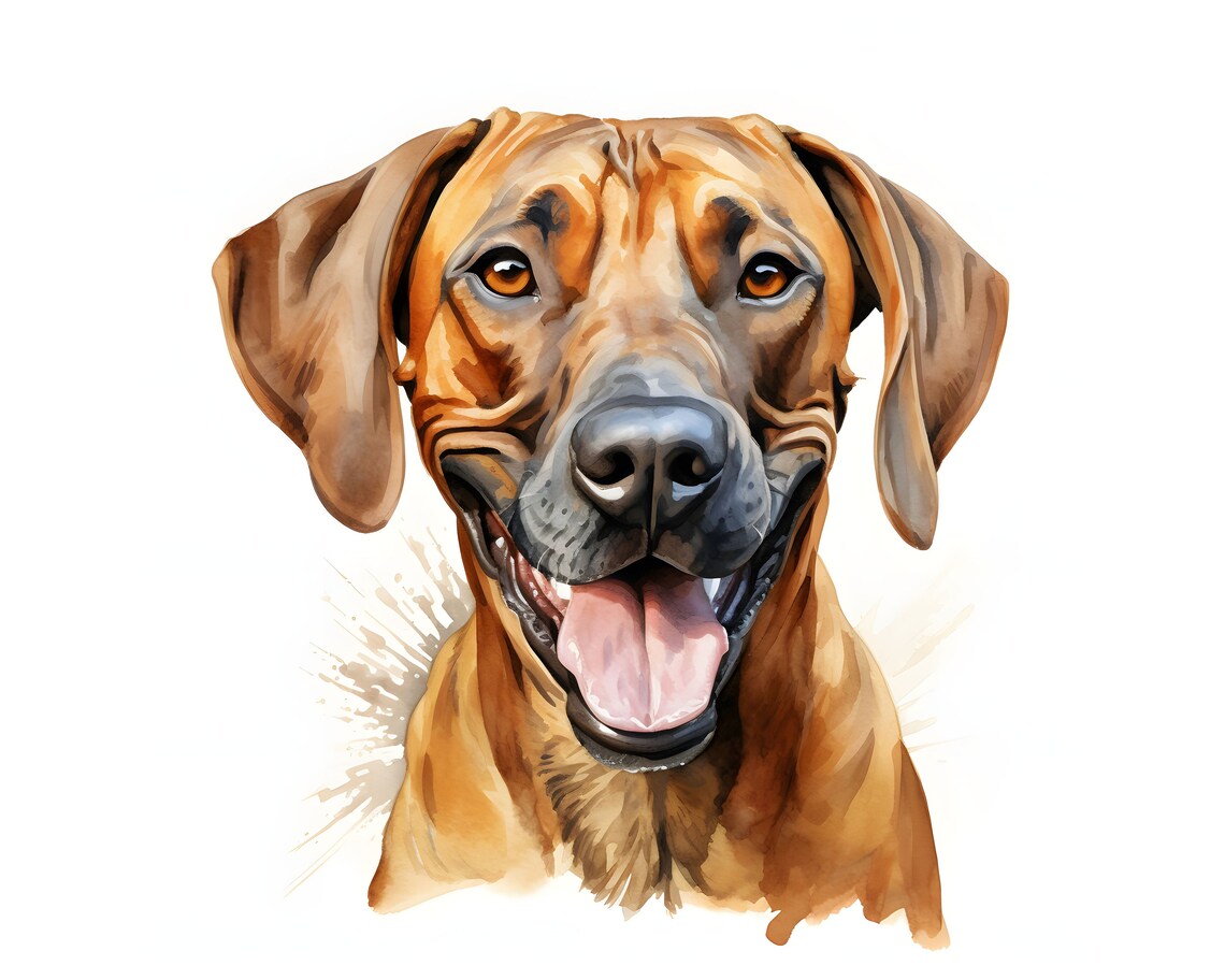 Rhodesian Ridgeback Clipart - 12 High Quality Jpgs - Instant Download ...