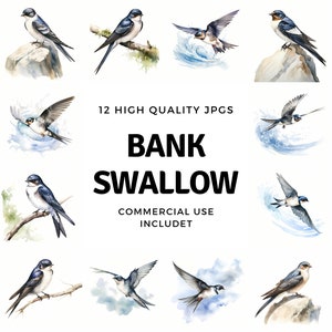 Bank Swallow clipart - 12 High Quality JPGs - instant Download - Card Making, invitations, journals, Scrapbooking, Junk journals