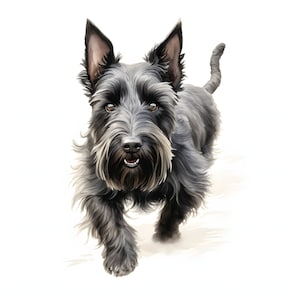 Scottish Terrier clipart - 12 JPG de alta calidad - descarga instantánea - Fabricación de tarjetas, invitaciones, diarios, Scrapbooking, diarios basura