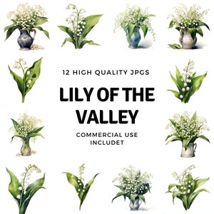 Lily of the Valley clipart - 12 JPG de haute qualité - Téléchargement instantané - Fabrication de cartes, invitations, journaux, Scrapbooking, Junk journaux