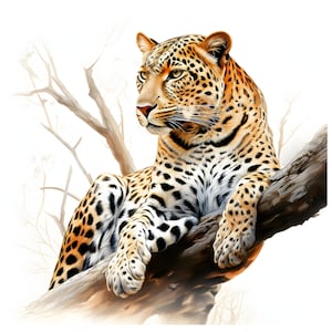 Leopard resting in a tree clipart - 12 Quality JPGs - instant Download - Card Making, invitations, journals, Scrapbooking, Junk journals