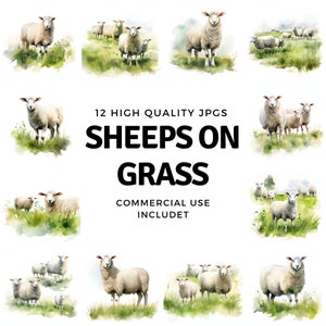Schapen op gras clipart - 12 JPG's van hoge kwaliteit - direct downloaden - Kaarten maken, uitnodigingen, tijdschriften, scrapbooking, ongewenste tijdschriften