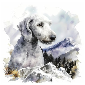 Bedlington Terrier clipart - 12 High Quality JPGs - instant Download - Card Making, invitations, journals, Scrapbooking, Junk journals