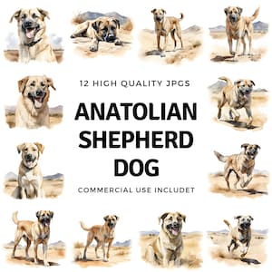Anatolian Shepherd Dog clipart - 12 High Quality JPGs - instant Download - Card Making, invitations, journals, Scrapbooking, Junk journals