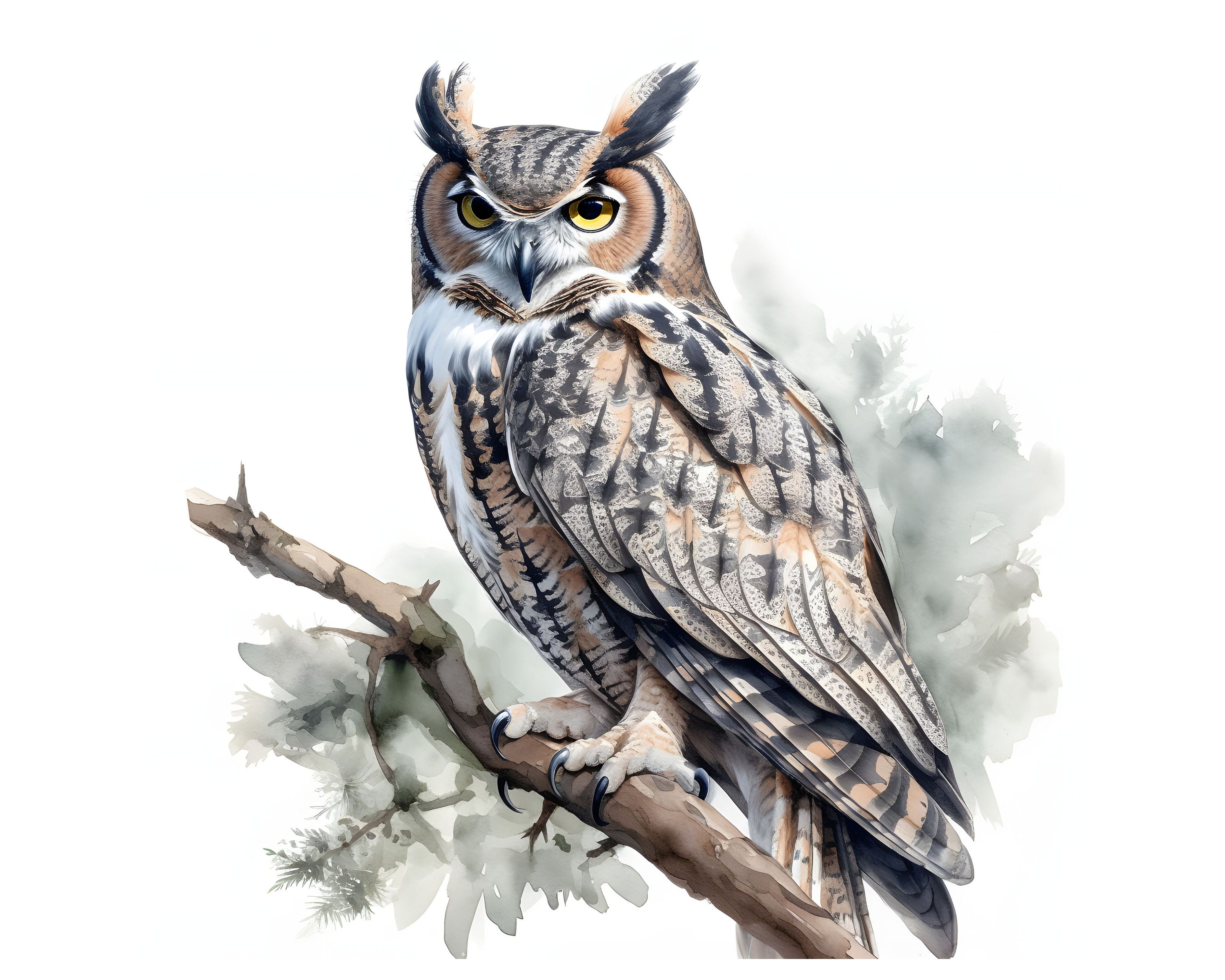 Great Horned Owl Clipart 12 High Quality Jpgs Instant Etsy