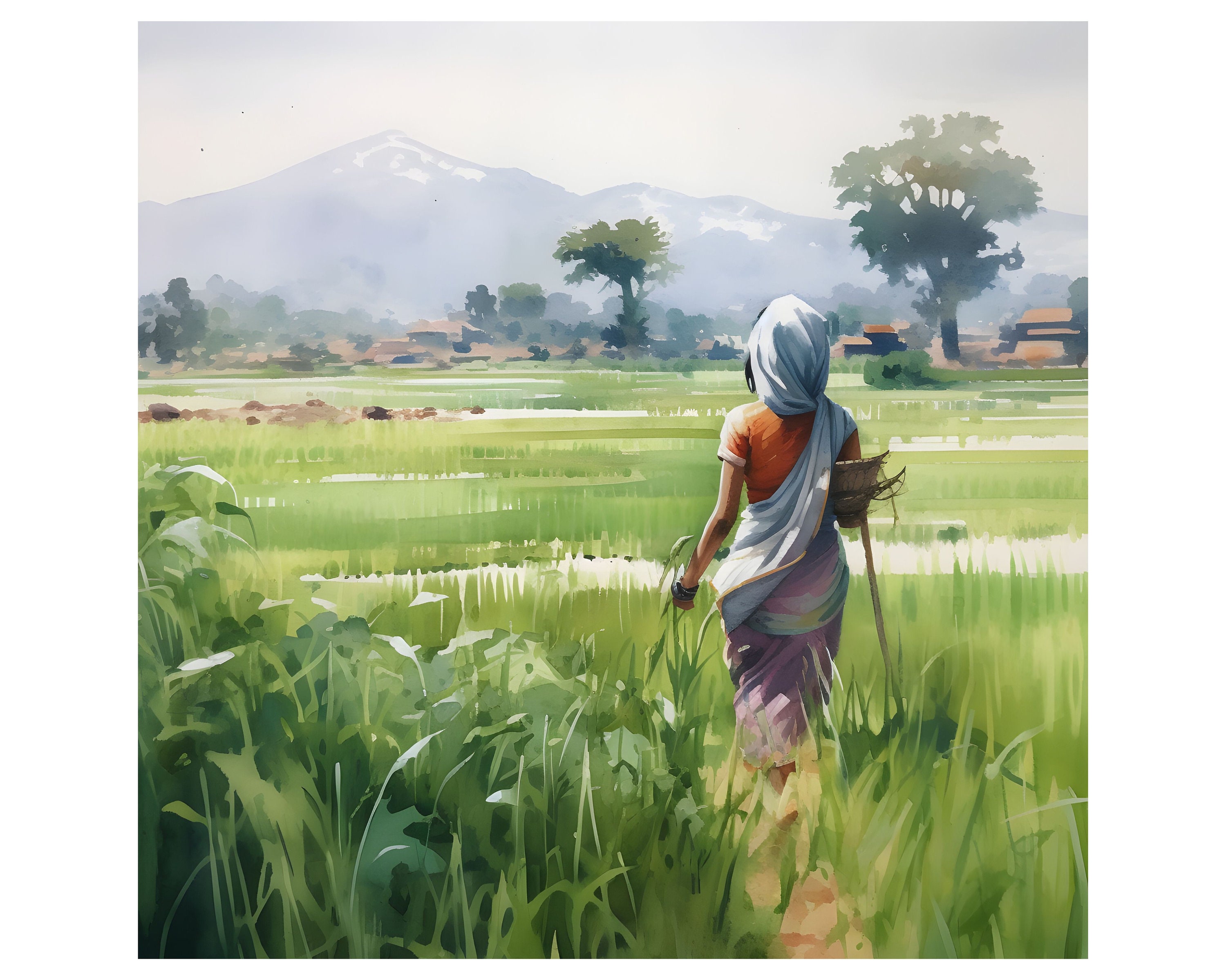 Rice Paddies Clipart 12 High Quality Jpgs Instant Download Card Making ...