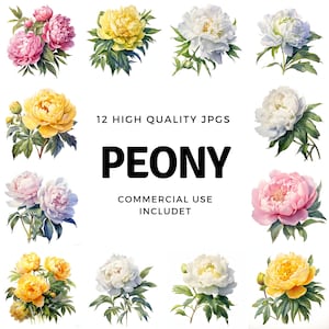 Peony clipart - 12 High Quality JPGs - instant Download - Card Making, invitations, journals, Scrapbooking, Junk journals