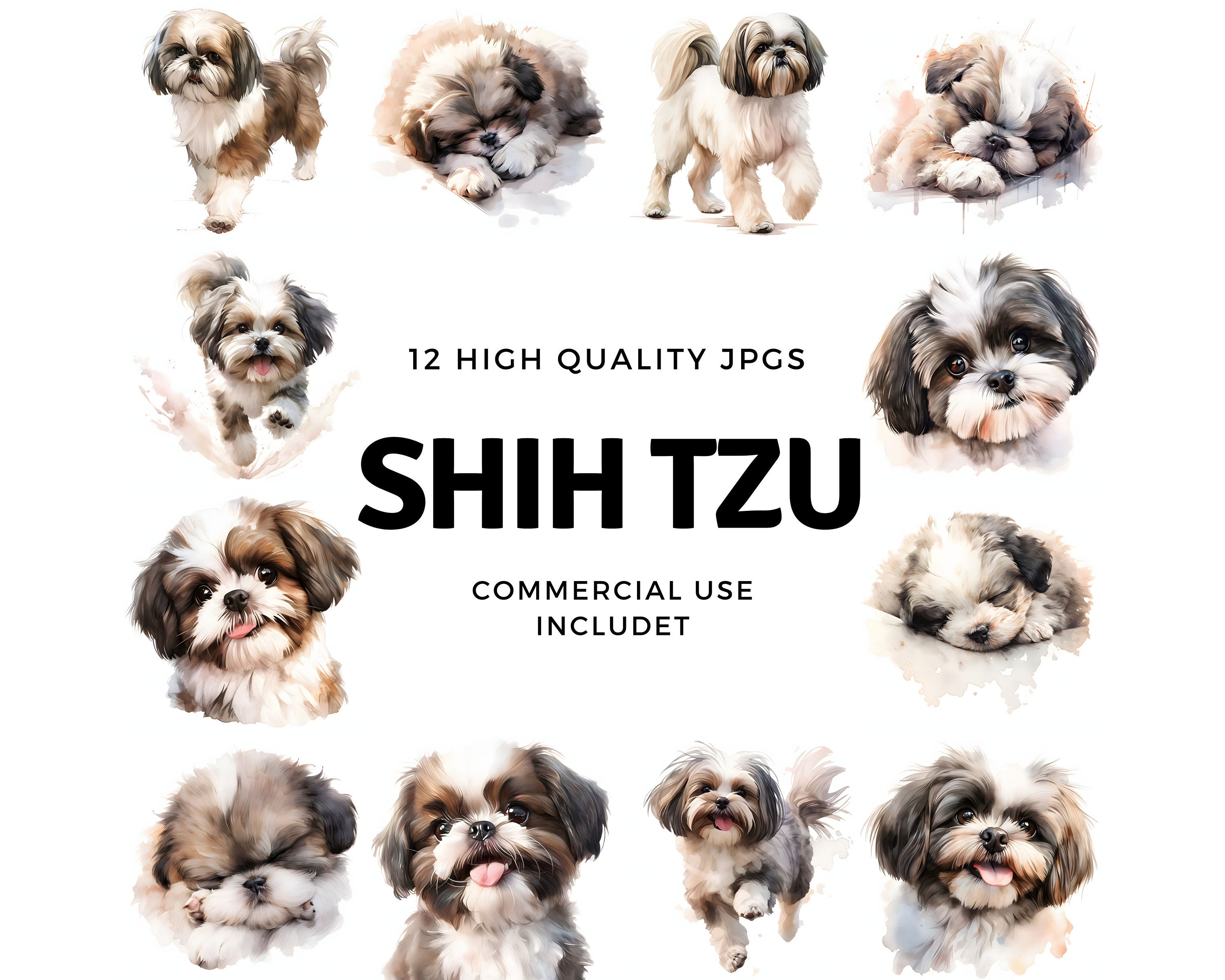 Shih Tzu Clipart 12 High Quality Jpgs Instant Download - Etsy