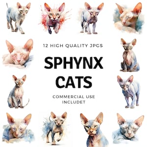 Sphynx cat clipart - 12 High Quality JPGs - instant Download - Card Making, invitations, journals, Scrapbooking, Junk journals