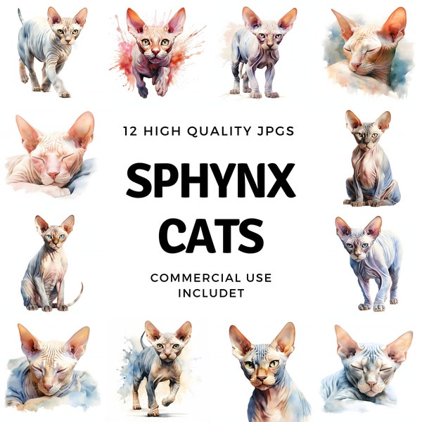 Sphynx cat clipart - 12 High Quality JPGs - instant Download - Card Making, invitations, journals, Scrapbooking, Junk journals