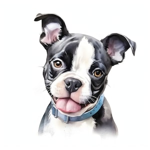 Boston Terrier clipart - 12 hoge kwaliteit JPG's - instant Download - Card Making, uitnodigingen, tijdschriften, Scrapbooking, Junk journals