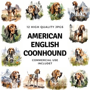 American English Coonhound clipart - 12 High Quality JPGs - instant Download - Card Making, invitations, journals, Scrapbooking