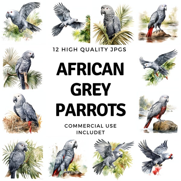 African Grey Parrot clipart - 12 High Quality JPGs - instant Download - Card Making, invitations, journals, Scrapbooking, Junk journals