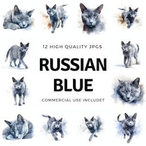 Clipart bleu russe - 12 JPG de haute qualité - téléchargement instantané - fabrication de cartes, invitations, journaux, Scrapbooking, journaux indésirables