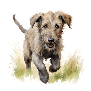 Irish Wolfhound Puppy clipart - 12 High Quality JPGs - instant Download - Card Making, invitations, journals, Scrapbooking, Junk journals
