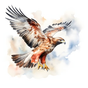 Red-tailed Hawk clipart - 12 High Quality JPGs - instant Download - Card Making, invitations, journals, Scrapbooking, Junk journals