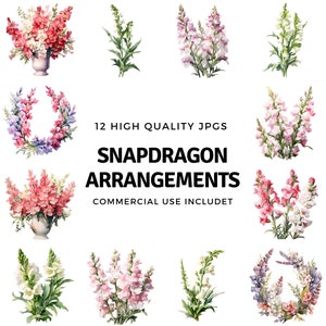Snapdragon Bouquet clipart - 12 High Quality JPGs - instant Download - Card Making, invitations, journals, Scrapbooking, Junk journals