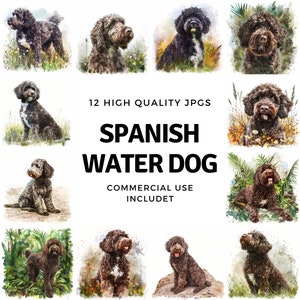 Spanish Water Dog clipart - 12 High Quality JPGs - instant Download - Card Making, invitations, journals, Scrapbooking, Junk journals