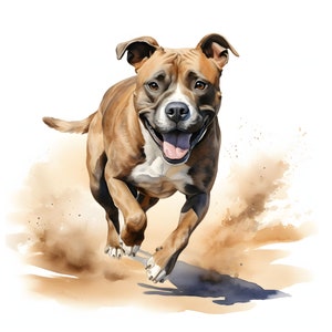 Staffordshire Bull Terrier clipart - 12 JPG de calidad - Descarga instantánea - Fabricación de tarjetas, invitaciones, diarios, Scrapbooking, Diarios basura