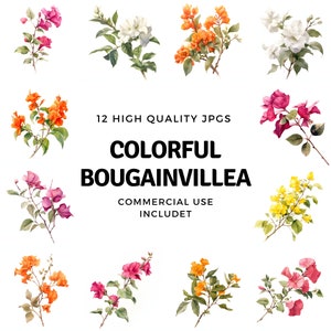 Colorful Bougainvillea clipart - 12 High Quality JPGs - instant Download - Card Making, invitations, journals, Scrapbooking, Junk journals