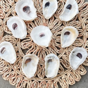 May include: Ten white oyster shells arranged in a circle on a woven straw mat. The shells are all different sizes and shapes, and some have a slight brown tint.