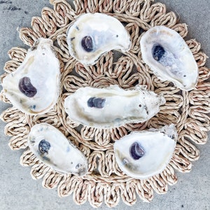 Oyster Shells DRILLED |Bulk| | Crafts| Ornaments| Bridesmaid| Beach Craft| Trinket Dish| Mod Podge| Decoupage | Wedding | Favor | Place Card