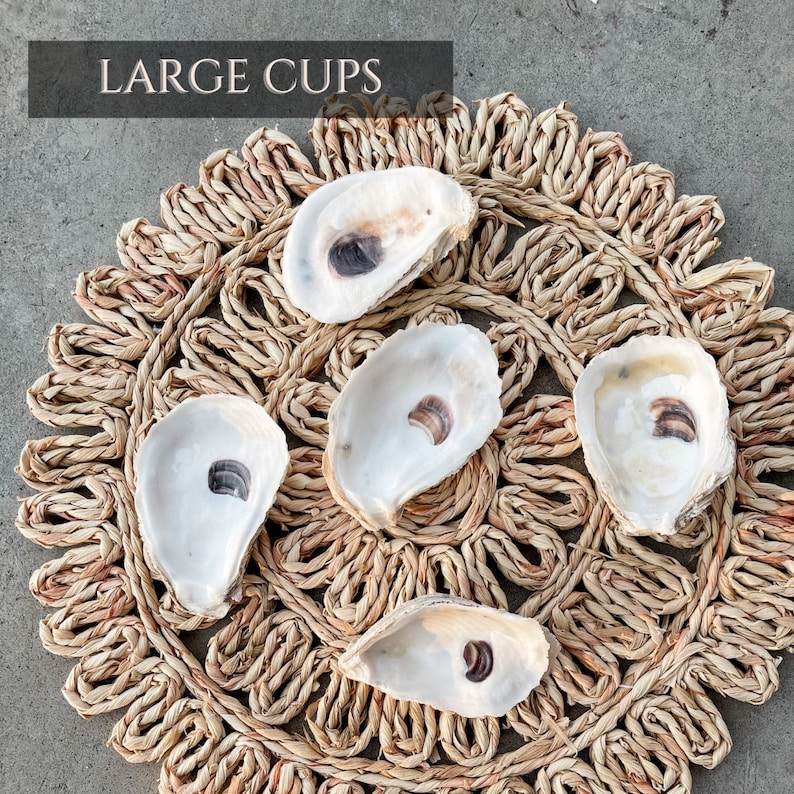 Oyster Shells Large 34 Bulk Crafts Ornaments Bridesmaid Beach Craft Trinket Dish Mod Podge Decoupage image 9